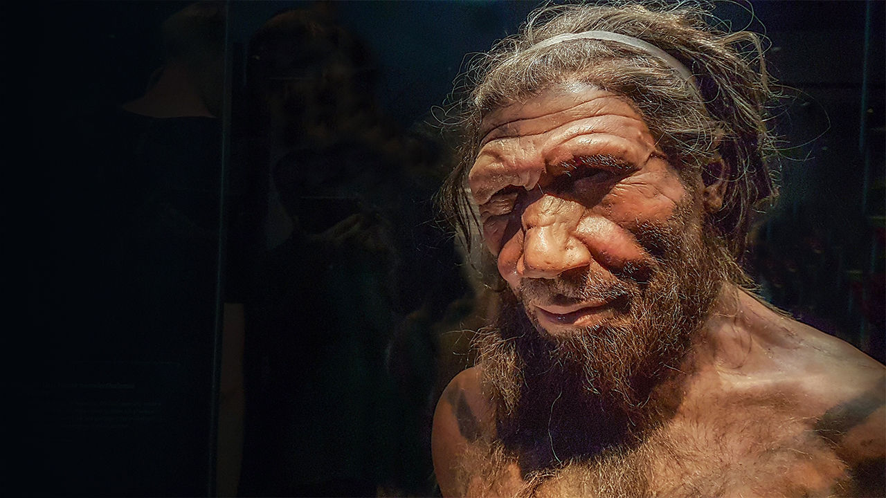 neanderthal 1280p 0