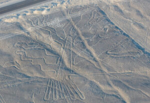 nazca tree resize md